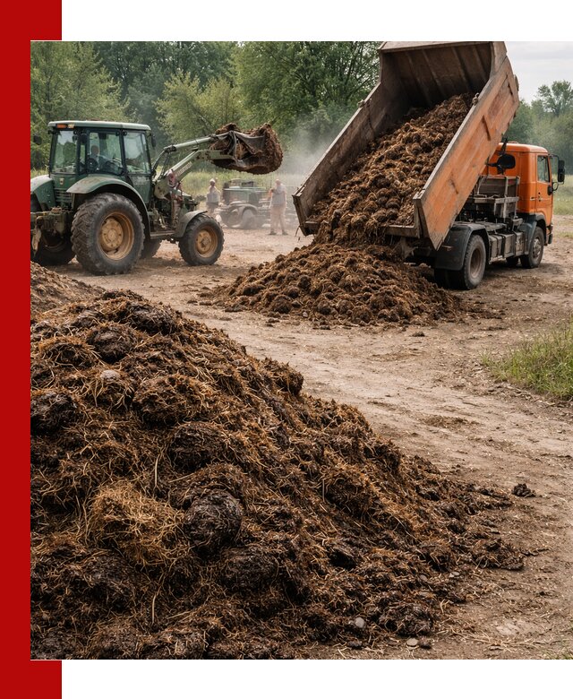 Доставка навоза самосвалами в Великом Новгороде для сельхозпотребностей